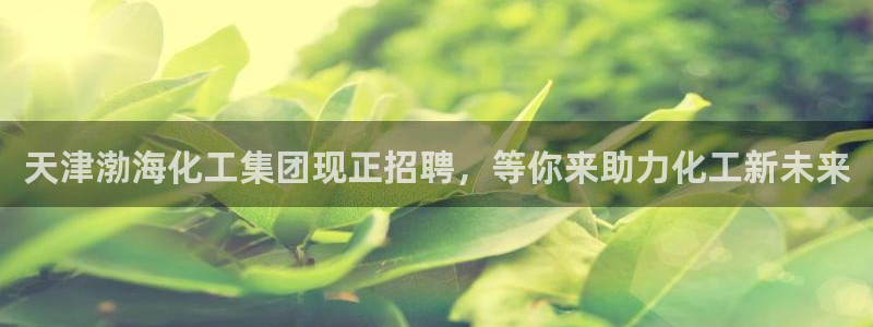 球盟会官方网页登录