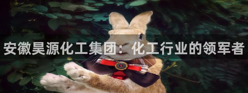 球盟会登录平台入口