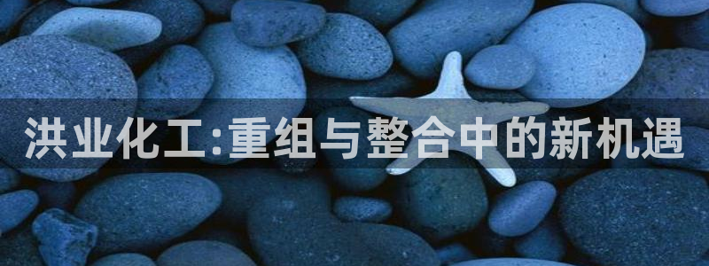 球盟会头号玩家是谁：洪业化工:重组与整合中的新机遇