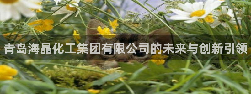 球盟会能提现吗：青岛海晶化工集团有限公司的未来与创新引领