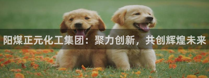 球盟会有没有黑单的球员：阳煤正元化工集团：聚力创新，共创辉煌