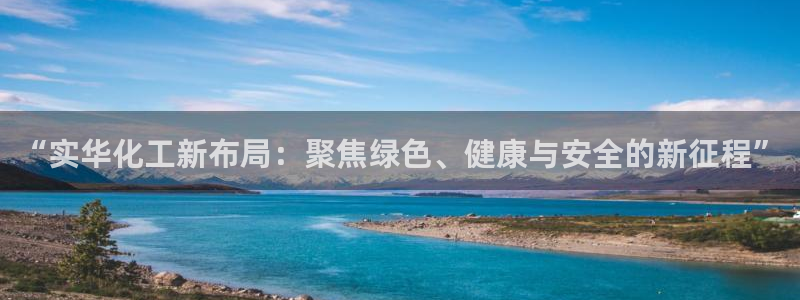 球盟会论坛：“实华化工新布局：聚焦绿色、健康与安全的新征程”