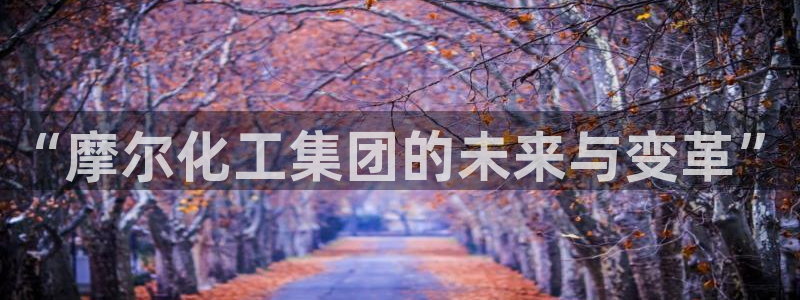 球盟会官网：“摩尔化工集团的未来与变革”