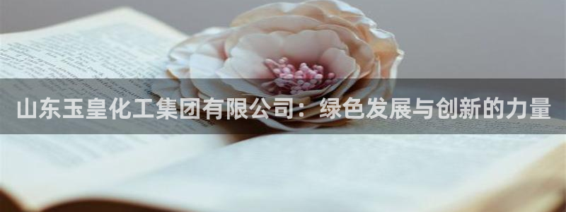 球盟会乐虎：山东玉皇化工集团有限公司：绿色发展与创新的力量