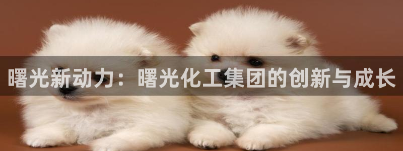 球盟会下载最新版：曙光新动力：曙光化工集团的创新与成长