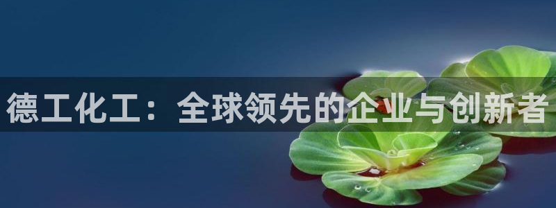 球盟会体育app官方网站：德工化工：全球领先的企业与创新者