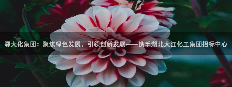 千亿球盟会：鄂大化集团：聚焦绿色发展，引领创新发展——携手湖