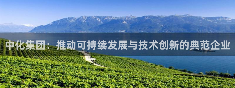 球盟会app最新地址下载安装：中化集团：推动可持续发展与技术