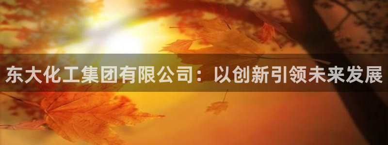 球盟会qm8597：东大化工集团有限公司：以创新引领未来发展