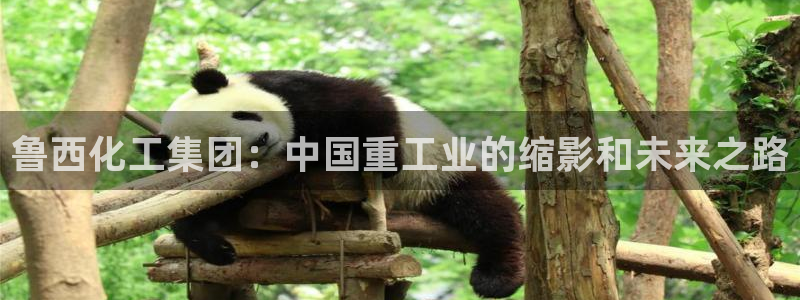 球盟会黑嘛：鲁西化工集团：中国重工业的缩影和未来之路