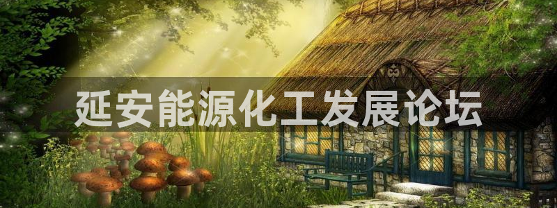 球盟会黑台：延安能源化工发展论坛