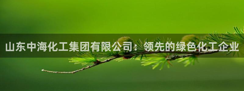 球盟会app网址多少：山东中海化工集团有限公司：领先的绿色化