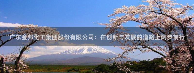 球盟会app手机登录：“广东金邦化工集团股份有限公司：在创新