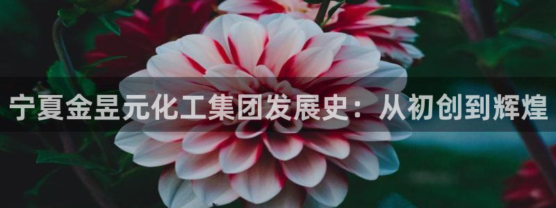 球盟会能提现吗安全吗：宁夏金昱元化工集团发展史：从初创到辉煌