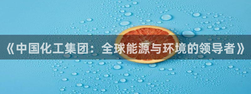 球盟会能退钱吗：《中国化工集团：全球能源与环境的领导者》