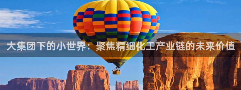 球盟会app最新地址在哪里：大集团下的小世界：聚焦精细化工产
