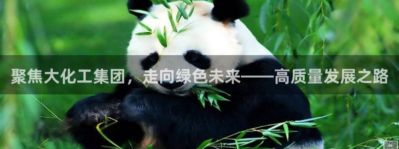 球盟会最新：聚焦大化工集团，走向绿色未来——高质量发展之路
