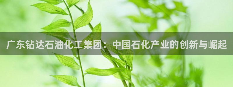 球盟会体育平台：广东钻达石油化工集团：中国石化产业的创新与崛