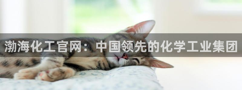 球盟会进不去吗