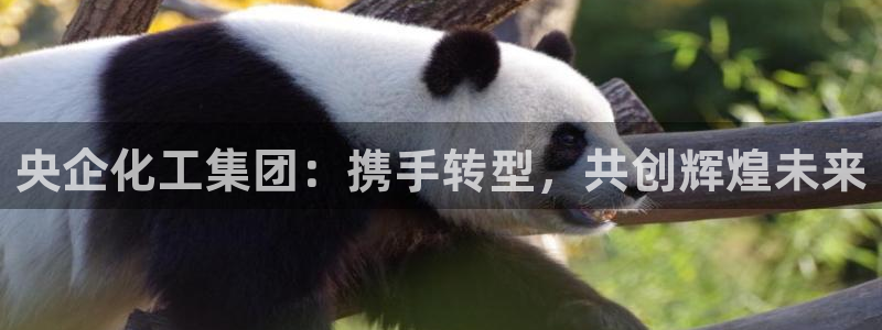 球盟会邮箱：央企化工集团：携手转型，共创辉煌未来