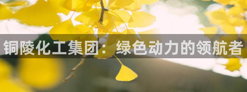 球盟会电子好下吗：铜陵化工集团：绿色动力的领航者