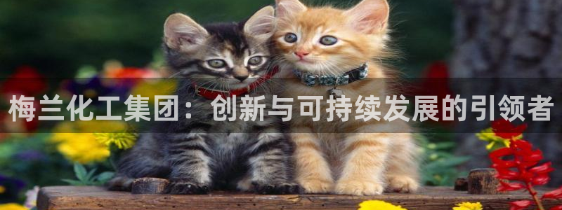 球盟会黑：梅兰化工集团：创新与可持续发展的引领者