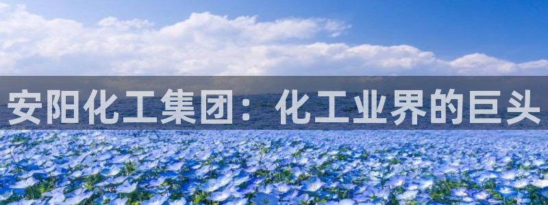 球盟会有限公司怎么样