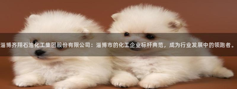 球盟会优惠领取网站：淄博齐翔石油化工集团股份有限公司：淄博市