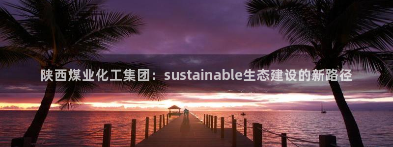 球盟会官方网入口：陕西煤业化工集团：sustainable生
