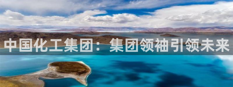 球盟会福利码2023最简单三个步骤：中国化工集团：集团领袖引