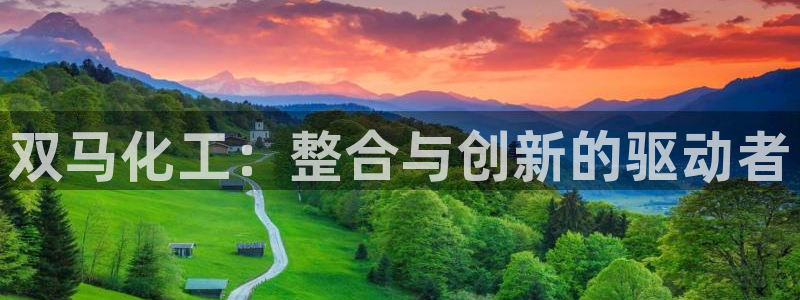 球盟会官网app下载：双马化工：整合与创新的驱动者