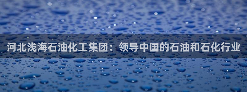 球盟会有没有黑单的：河北浅海石油化工集团：领导中国的石油和石