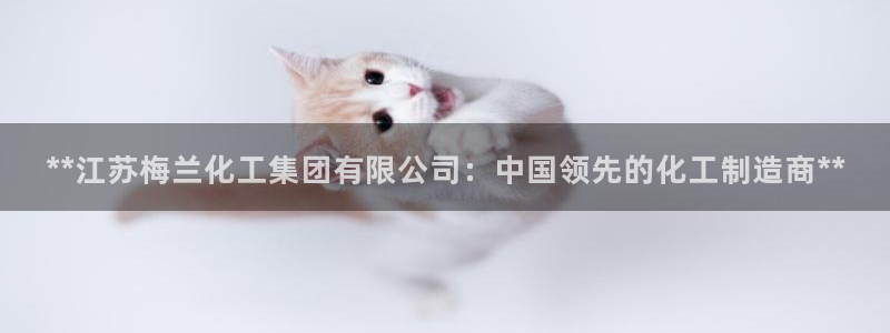 球盟会综合体育平台怎么样：**江苏梅兰化工集团有限公司：中国