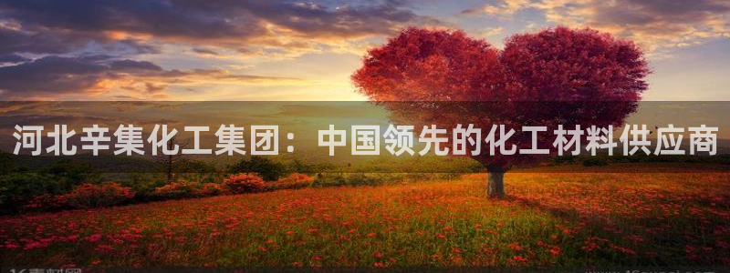 球盟会app网址多少号：河北辛集化工集团：中国领先的化工材料