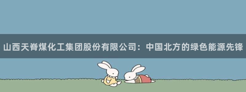 球盟会官方下载：山西天脊煤化工集团股份有限公司：中国北方的绿