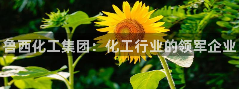 球盟会头号玩家：鲁西化工集团：化工行业的领军企业