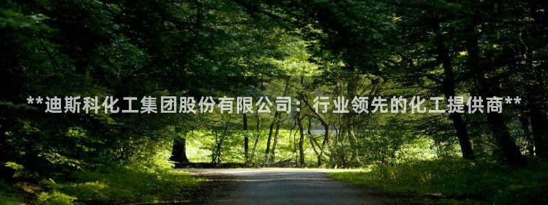 球盟会提款支付宝怎么样：**迪斯科化工集团股份有限公司：行业