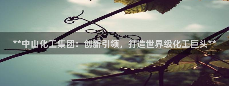 球盟会下载最新版：**中山化工集团：创新引领，打造世界级化工