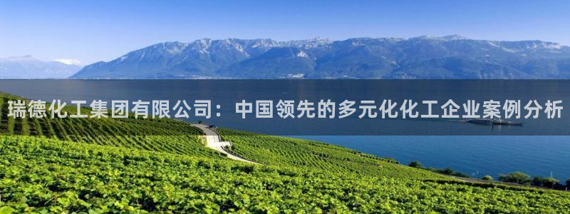 球盟会用的客服聊天是哪个软件：瑞德化工集团有限公司：中国领先