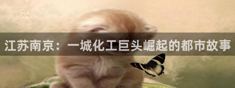 球盟会官方：江苏南京：一城化工巨头崛起的都市故事