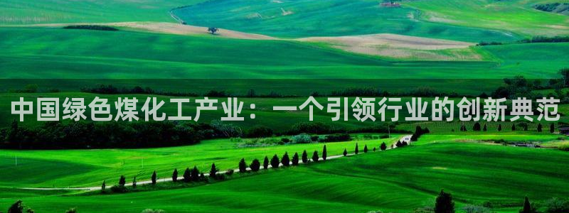 球盟会里面有打牌的嘛知乎：中国绿色煤化工产业：一个引领行业的