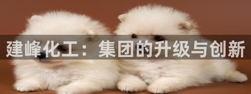 球盟会网页版登陆：建峰化工：集团的升级与创新
