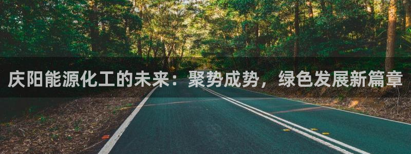 球盟会可靠不：庆阳能源化工的未来：聚势成势，绿色发展新篇章