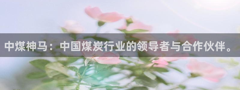 球盟会体育平台：中煤神马：中国煤炭行业的领导者与合作伙伴。
