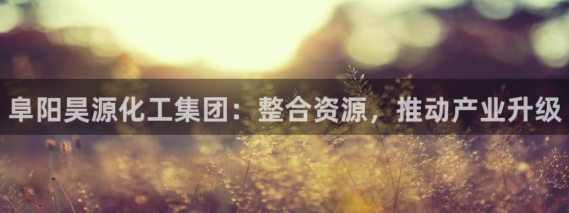 球盟会官方网入口：阜阳昊源化工集团：整合资源，推动产业升级