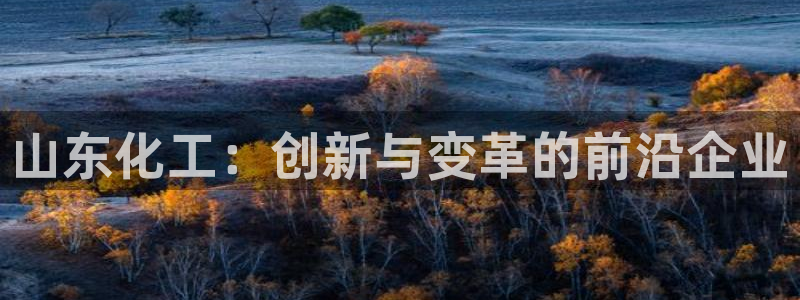 球盟会和中欧会的区别：山东化工：创新与变革的前沿企业