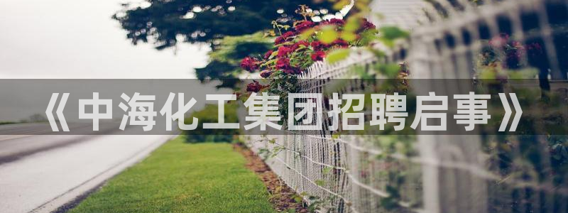 球盟会邮箱：《中海化工集团招聘启事》