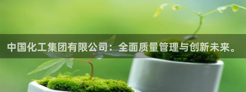 球盟会在线登录官网：中国化工集团有限公司：全面质量管理与创新
