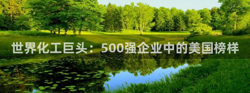 球盟会连接：世界化工巨头：500强企业中的美国榜样