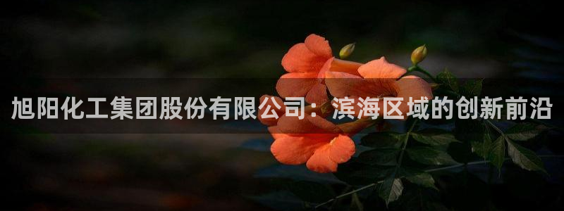 球盟会可以提现么：旭阳化工集团股份有限公司：滨海区域的创新前